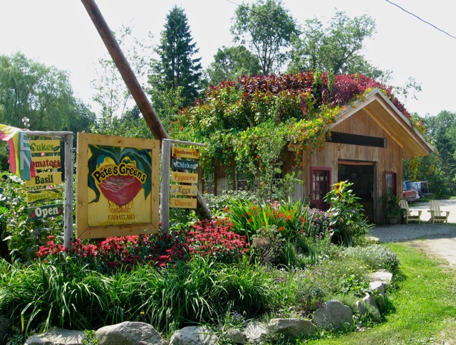 petes green garden stand craftsbury vermont