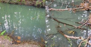 Cyanobacteria warning reissued for Whittemore Lake