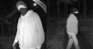 Newfane hit by string of overnight burglaries; police seek person of interest