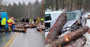 Log truck rollover in Jamaica, no injuries reported