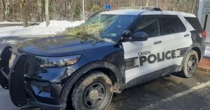 Candia police cruiser hit by falling tree