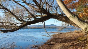 Memphremagog Watershed Association receives over $100K for water quality projects