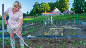 Bluffside Farm Community Gardens open for 2024 season registration