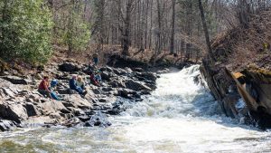 Willoughby Falls hosts spectacular steelhead trout migration, community events planned
