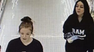 Police seek to identify suspects in Hanover theft