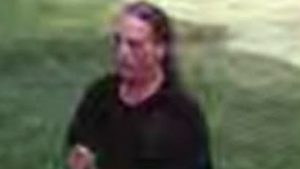 Stolen vehicle suspect arrested in Braintree