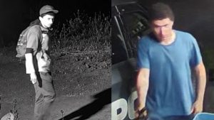 Multiple vehicles stolen in Randolph