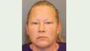 Woman arrested on felony charge in Saratoga County