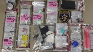Two arrested on drug charges in Delevan