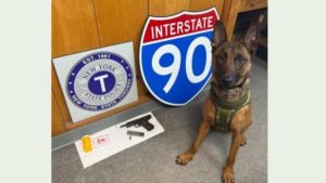 Man arrested on weapons charges in Schuyler