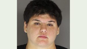 Woman arrested on DUI, trespassing charges in Upper Allen