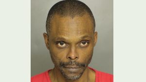 Suspect identified in retail thefts in Verona