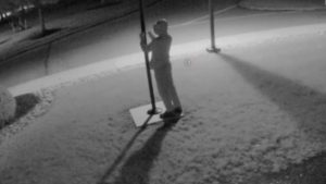 Flags stolen from municipal flagpole in Palmer Township