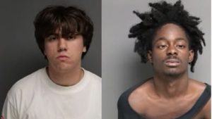 Two arrested after pursuit ends in Trumbull