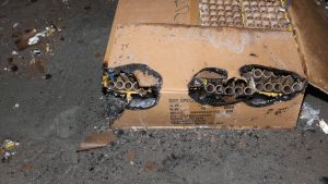Pyrotechnician injured during fireworks display in York