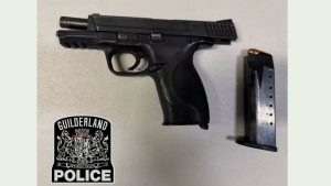 Man arrested on weapons charges in Guilderland
